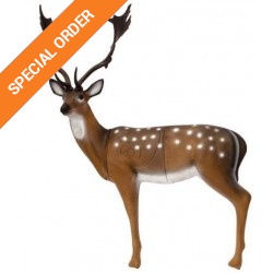 SRT Fallow Deer