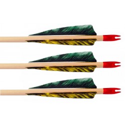 Premium POC Field Arrows - Spine matched