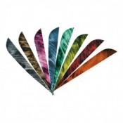 Feathers (7)